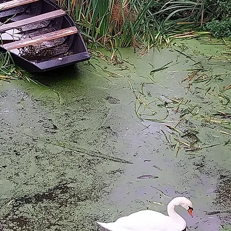 Au Bord De L'eau Avec Canoes, Terrasse Et Jardin A Damvix, Au Coeur Du Marais Poitevin. - Fr-1-426-354 * Damvix