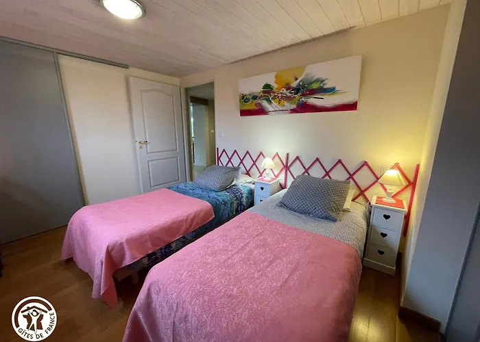 Au Bord De L'eau Avec Canoës, Terrasse Et Jardin à Damvix, Au Cœur Du Marais Poitevin. - Fr-1-426-354